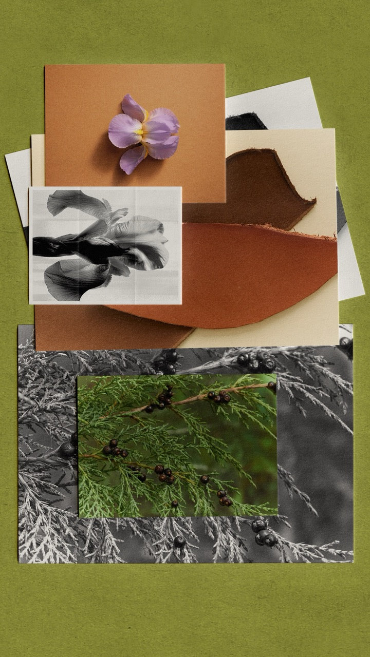 Irish Leather - Focus