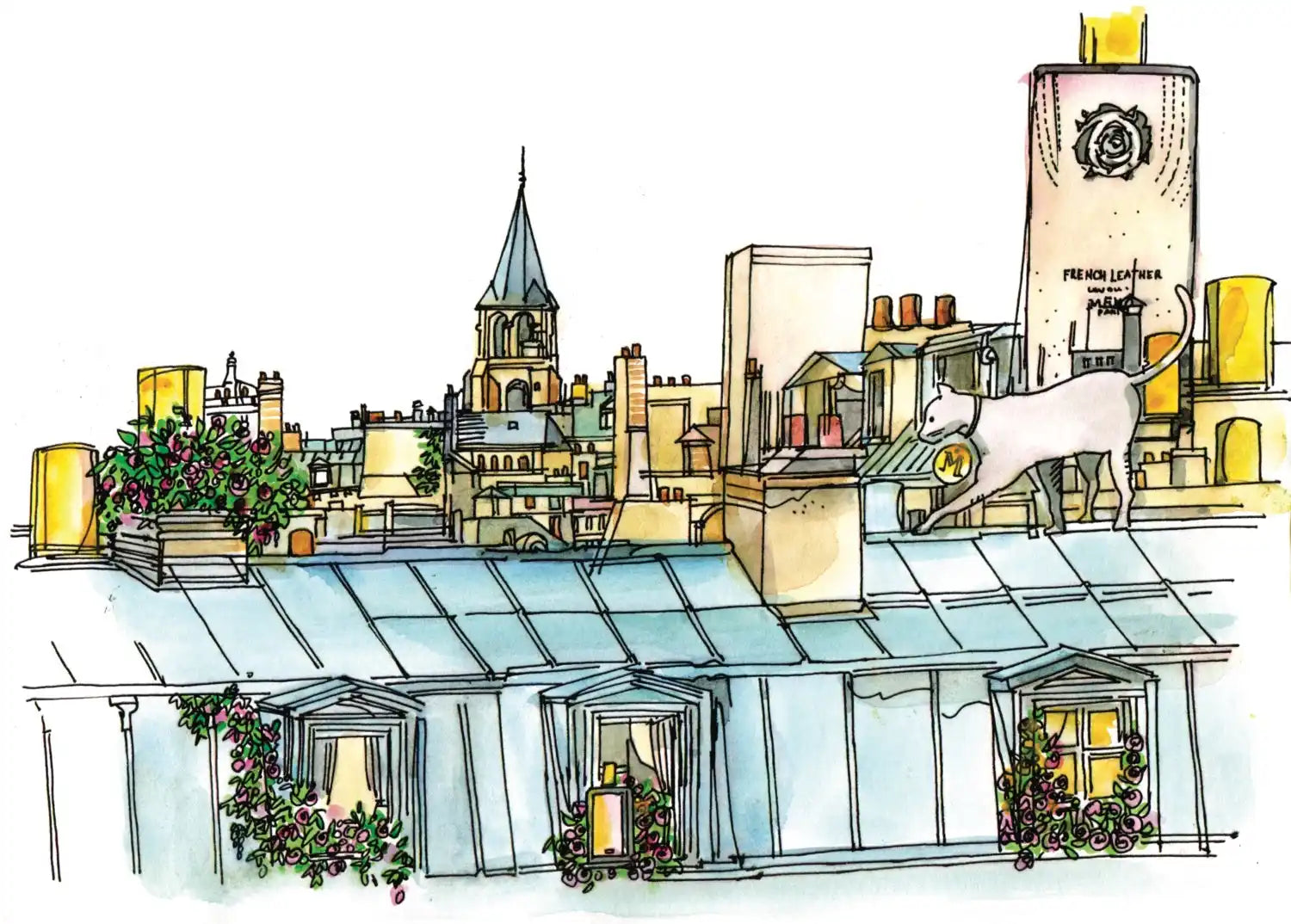 Parisian rooftop scene with a cat.