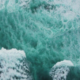 Ocean Leather