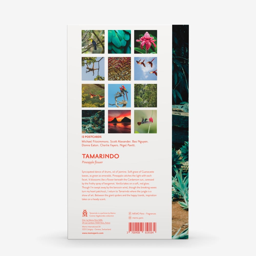 Tamarindo - Postcard | Memo Paris