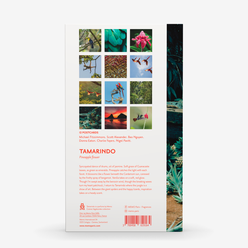Tamarindo - Postcard | Memo Paris